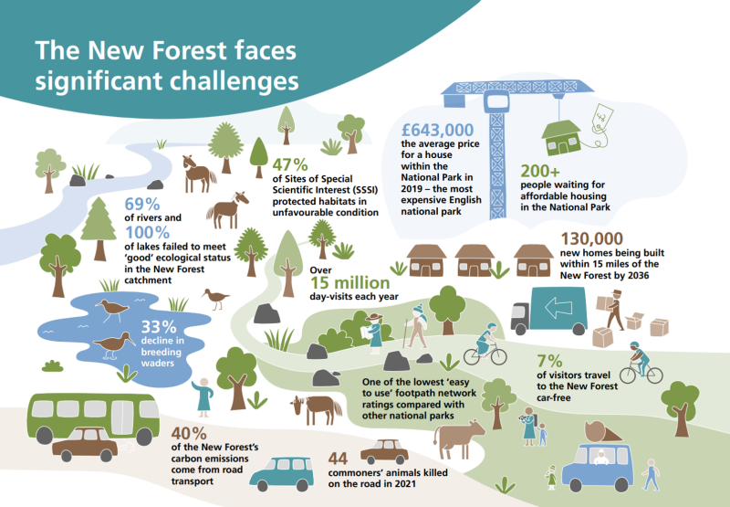 Infographic showing challenges facing the New Forest, including increased traffic, house building on edges, and decline of habitats