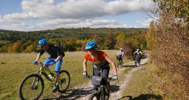 Four people are cycling up an off-road track in autumn. They are wearing short-sleeved MTB jerseys and shorts. The leaves are all turning gold and red.