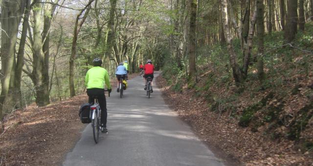 People cycling on road through a forest