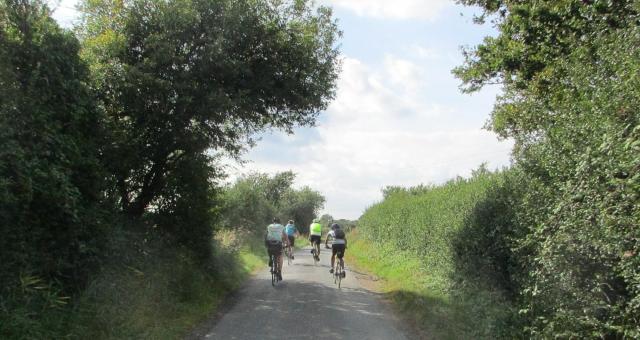People cycling down a country lane