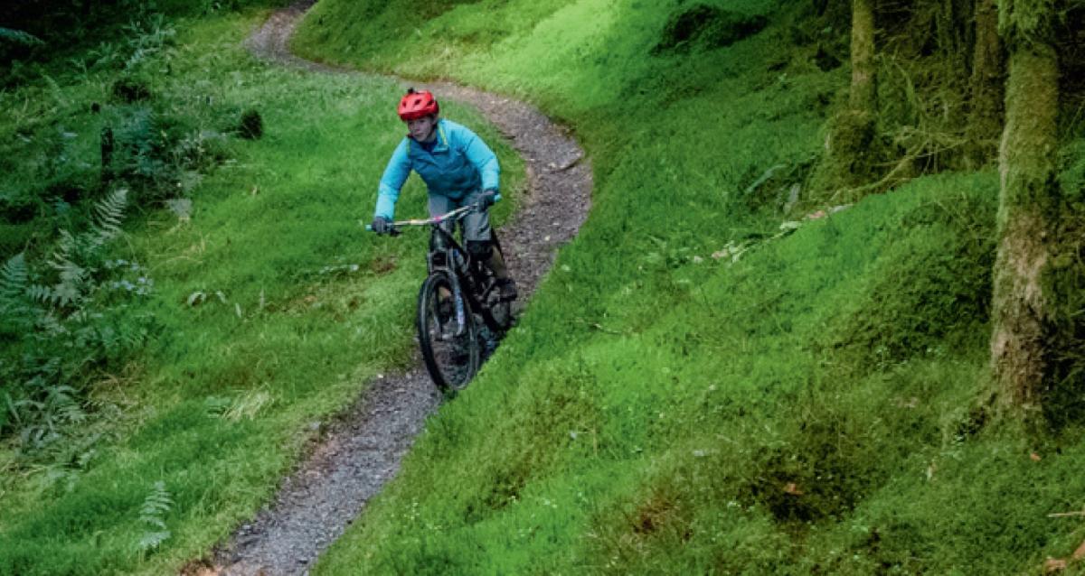 8 of the Most Technical Mountain Bike Trails in the USA, According to the  Singletracks Community - Singletracks Mountain Bike News