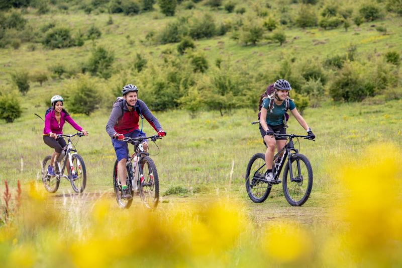 Three cyclists on a cycle path climbing a hill with yellow flowers in the foreground