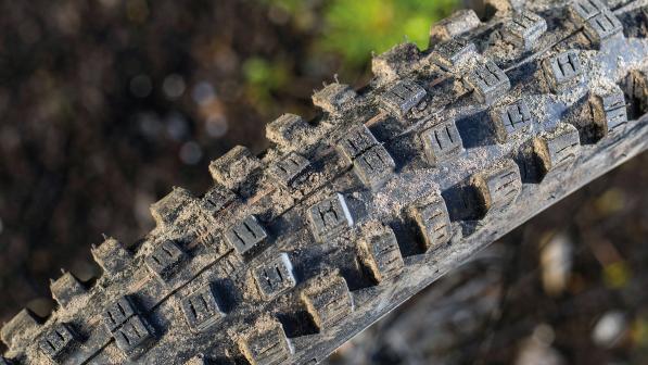 CYCLE120_GROUP TEST_Nobby Nic_04 copy.jpg