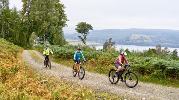 Robert Tomlin_East Sutherland Bothy project_Kyle of Sutherland Weekender_Photo 15 Balblair Woods/Trails.jpg